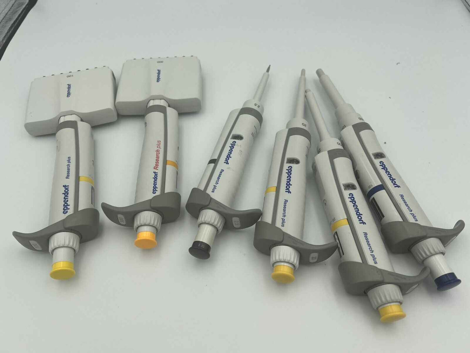 What do you need for a new biology lab? For the new PI/Professor shopping list - Labnob