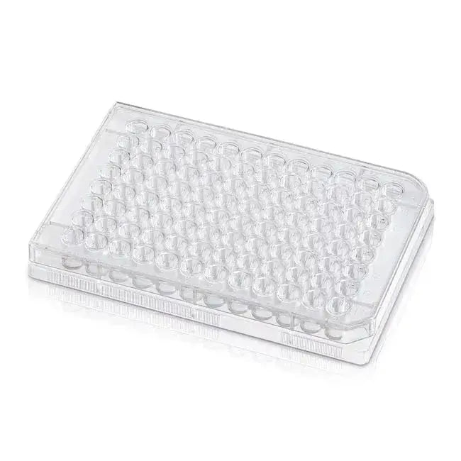 Plate - Labnob