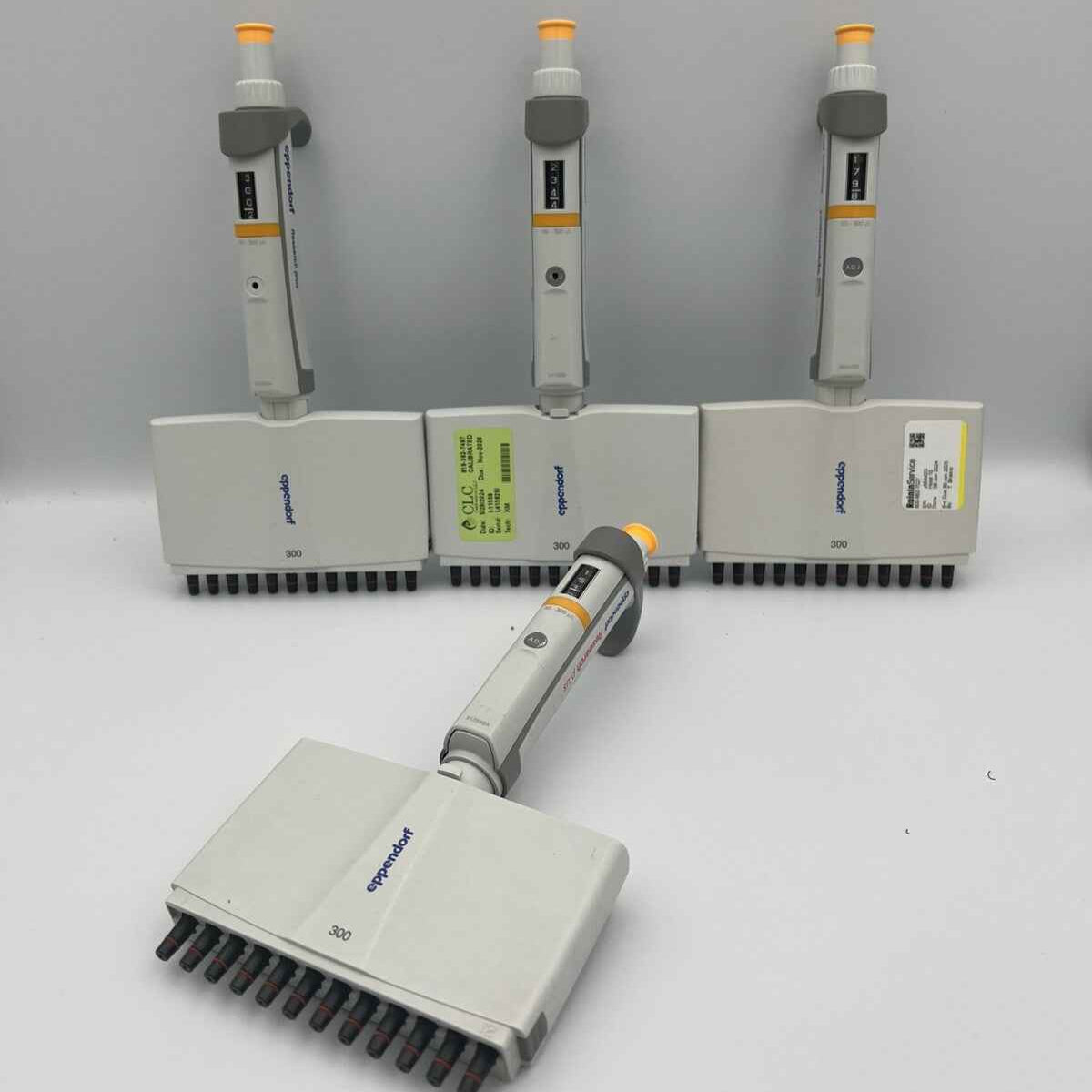 Eppendorf Research Plus 12 Channel P300 30-300 uL Pipette