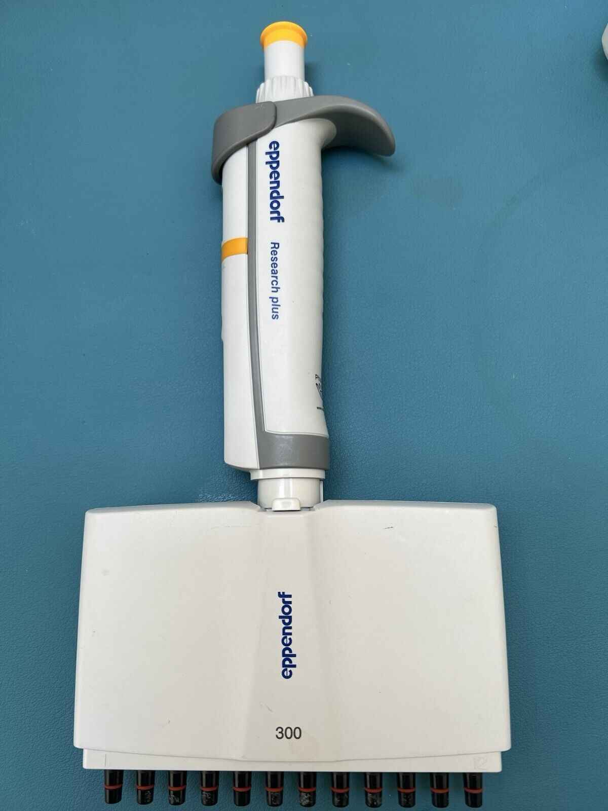 Eppendorf Research Plus 12 Channel P300 30-300 uL Pipette - Labnob