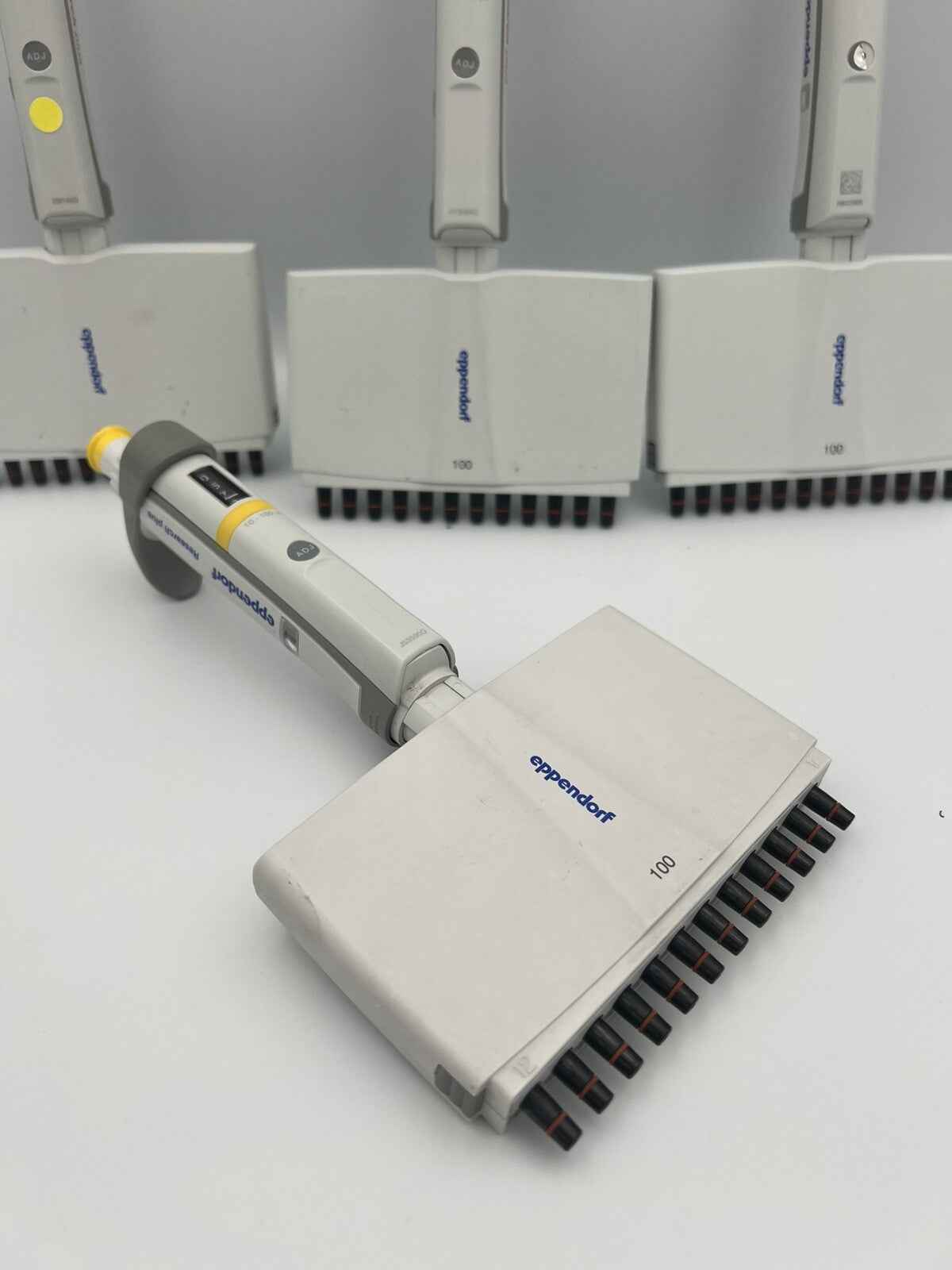 Eppendorf Research Plus 12 Channel 10-100 uL Pipette P100