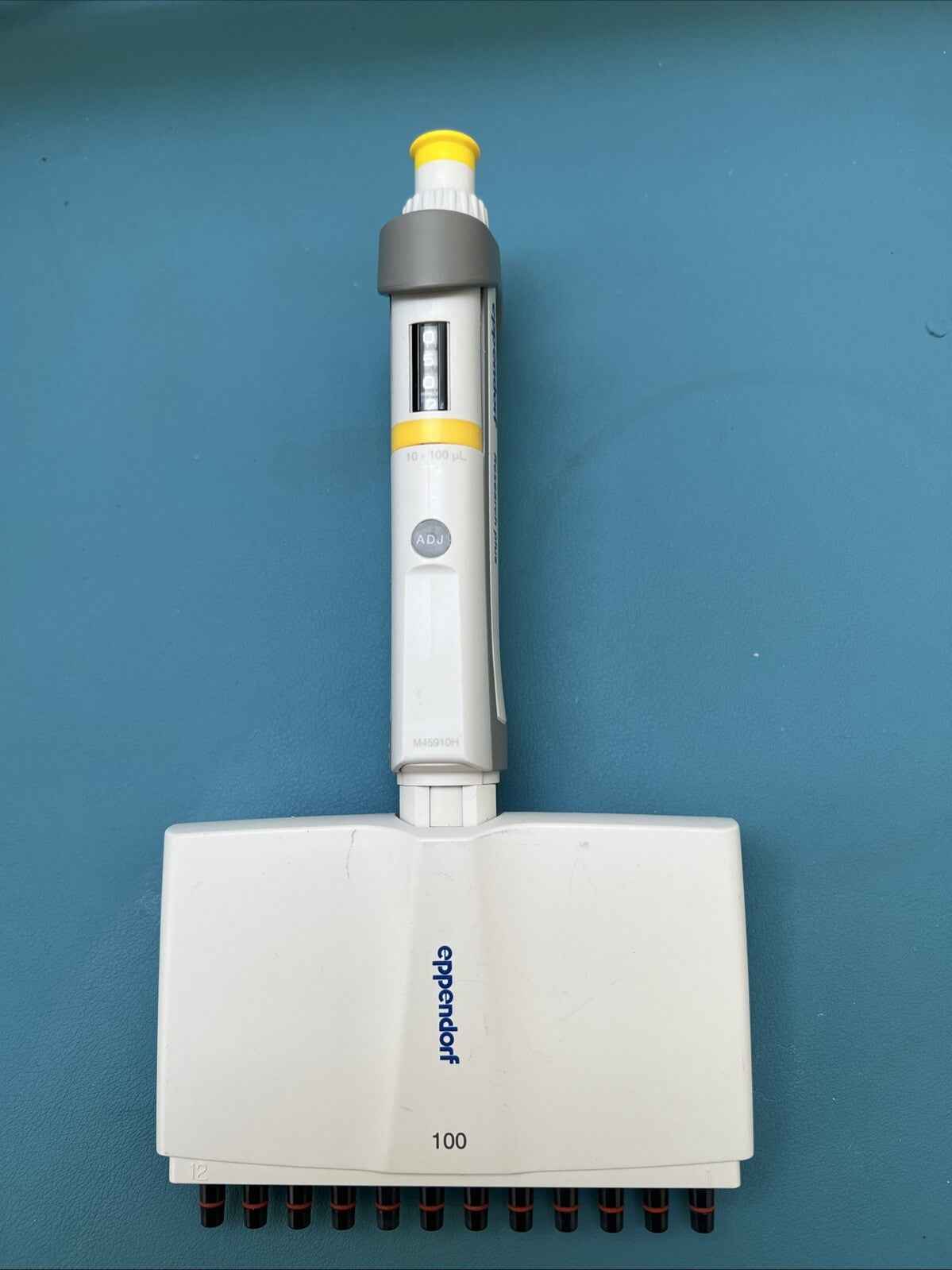 Eppendorf Research Plus 12 Channel 10-100 uL Pipette P100