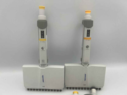 Set of 6 Eppendorf Research Plus Pipette | 4* Single, 2* 12 Channel - Labnob