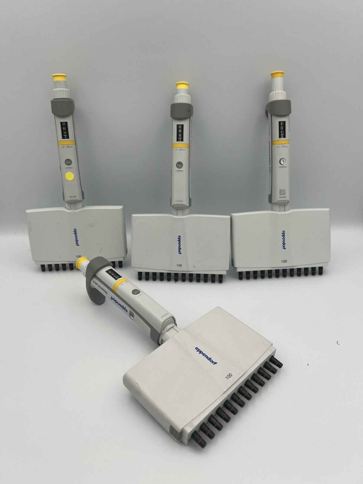 Eppendorf Research Plus 12 Channel 10-100 uL Pipette P100