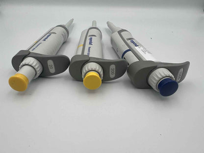 Set Of 3 Eppendorf Research Plus Pipettes P 20 200 1000 - Labnob