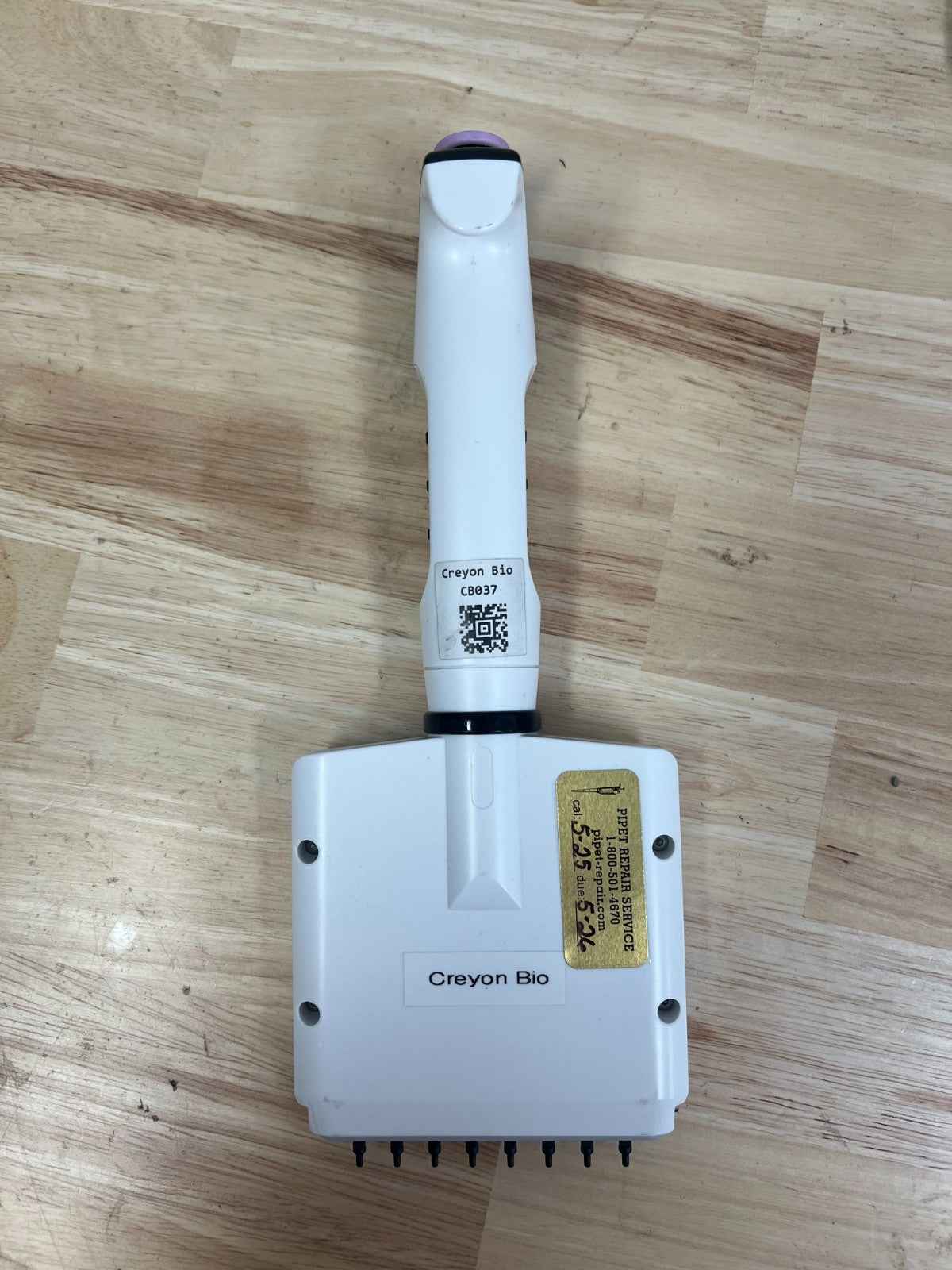 integra evolve pipette 8 channel 12.5ul #4621